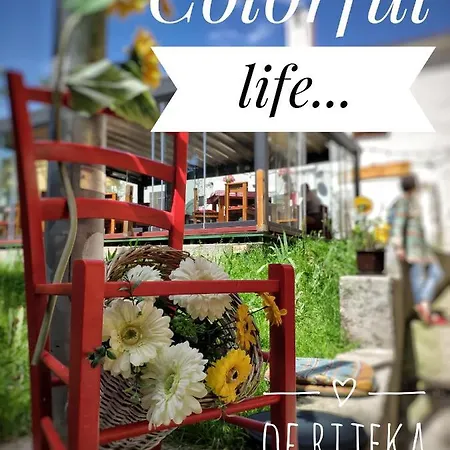 Guest house Center With Terrace Rijeka